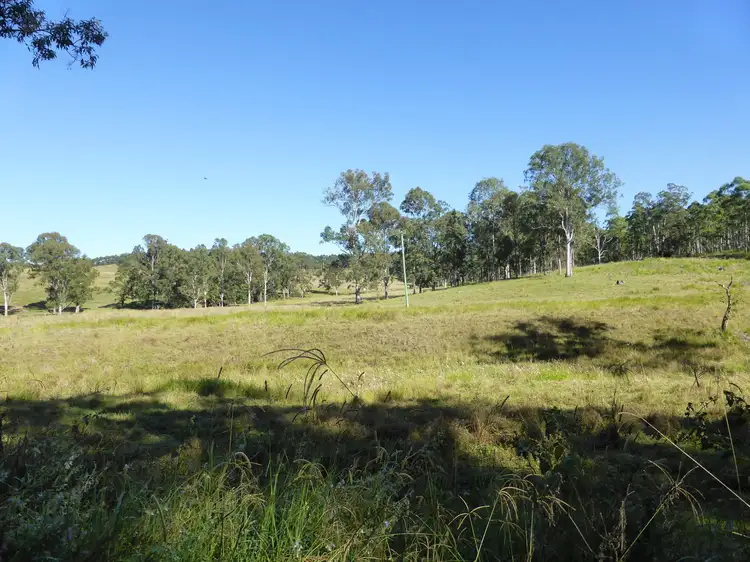 Third view of Homely rural property listing, 263 Dunns Road, Doubtful Creek NSW 2470