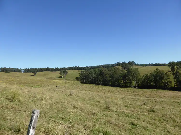 Sixth view of Homely rural property listing, 263 Dunns Road, Doubtful Creek NSW 2470