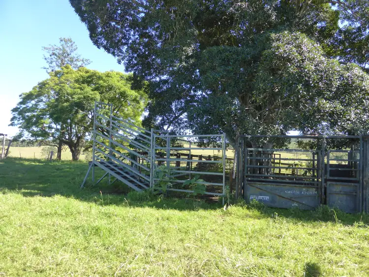 Seventh view of Homely rural property listing, 263 Dunns Road, Doubtful Creek NSW 2470