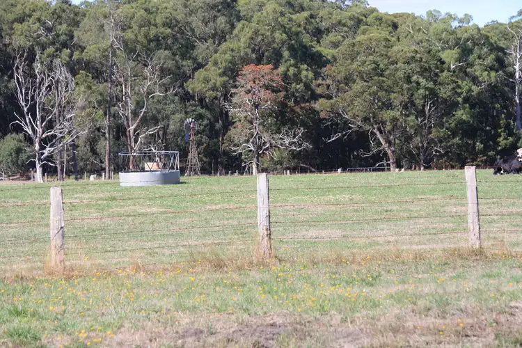 Sixth view of Homely rural property listing, 385 Wilsons Road, Barongarook VIC 3249