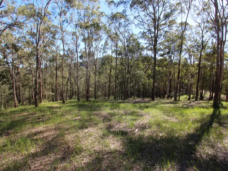 Third view of Homely land listing, 135 Mount Baker Road, Millfield NSW 2325