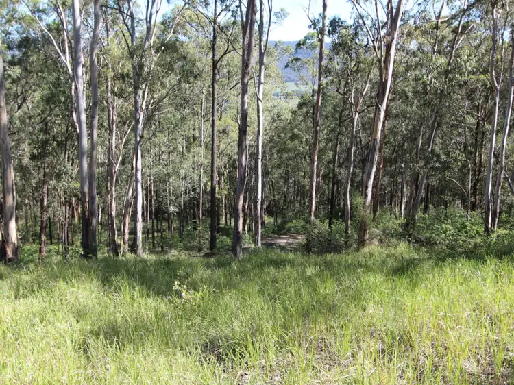 Fourth view of Homely land listing, 135 Mount Baker Road, Millfield NSW 2325