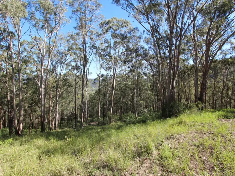 Sixth view of Homely land listing, 135 Mount Baker Road, Millfield NSW 2325