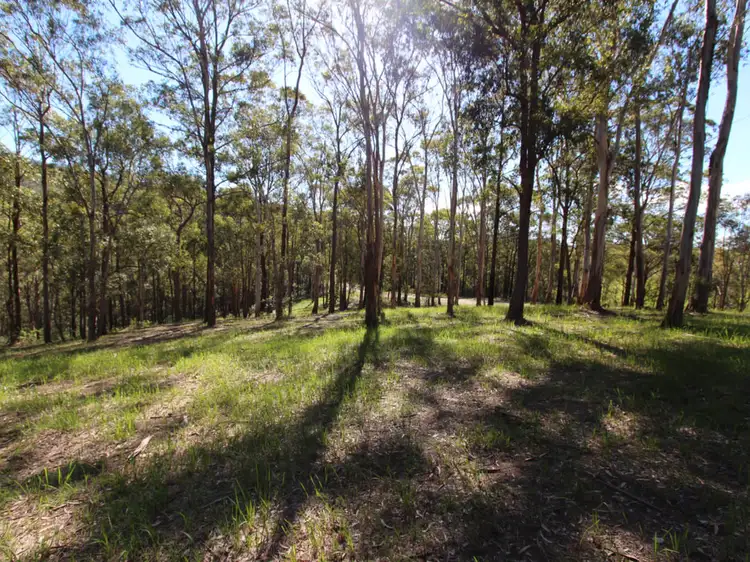 Seventh view of Homely land listing, 135 Mount Baker Road, Millfield NSW 2325