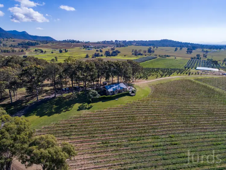 Seventh view of Homely rural property listing, 534 Oakey Creek Road, Pokolbin NSW 2320