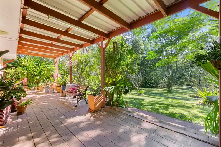 Main view of Homely house listing, 10 Wandin Street, Nerang QLD 4211