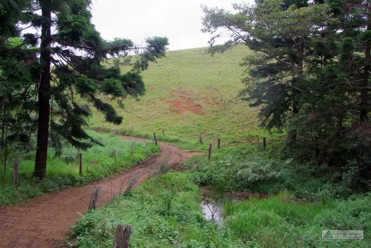 Fourth view of Homely rural property listing, Address available on request