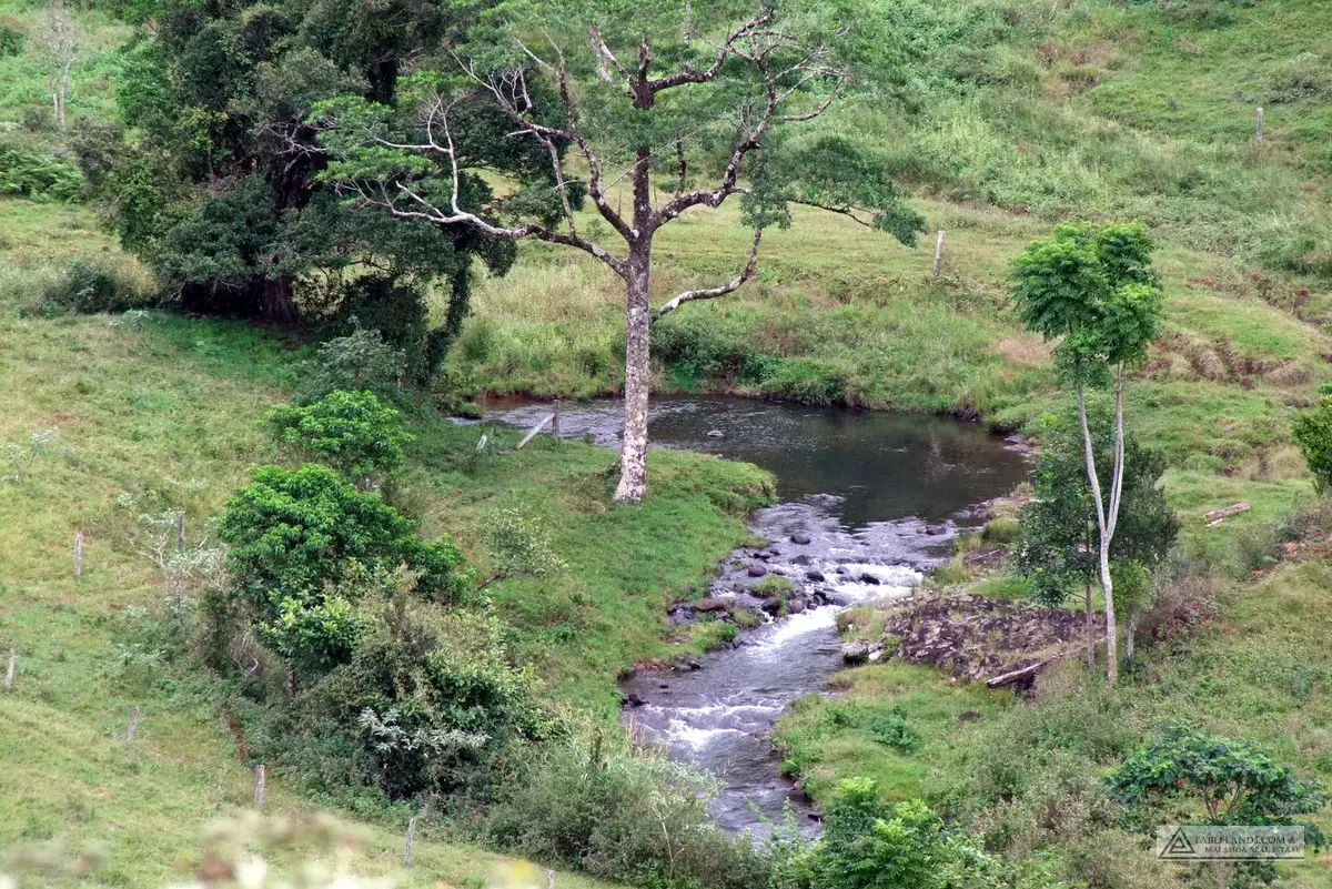 Main view of Homely rural property listing, Address available on request