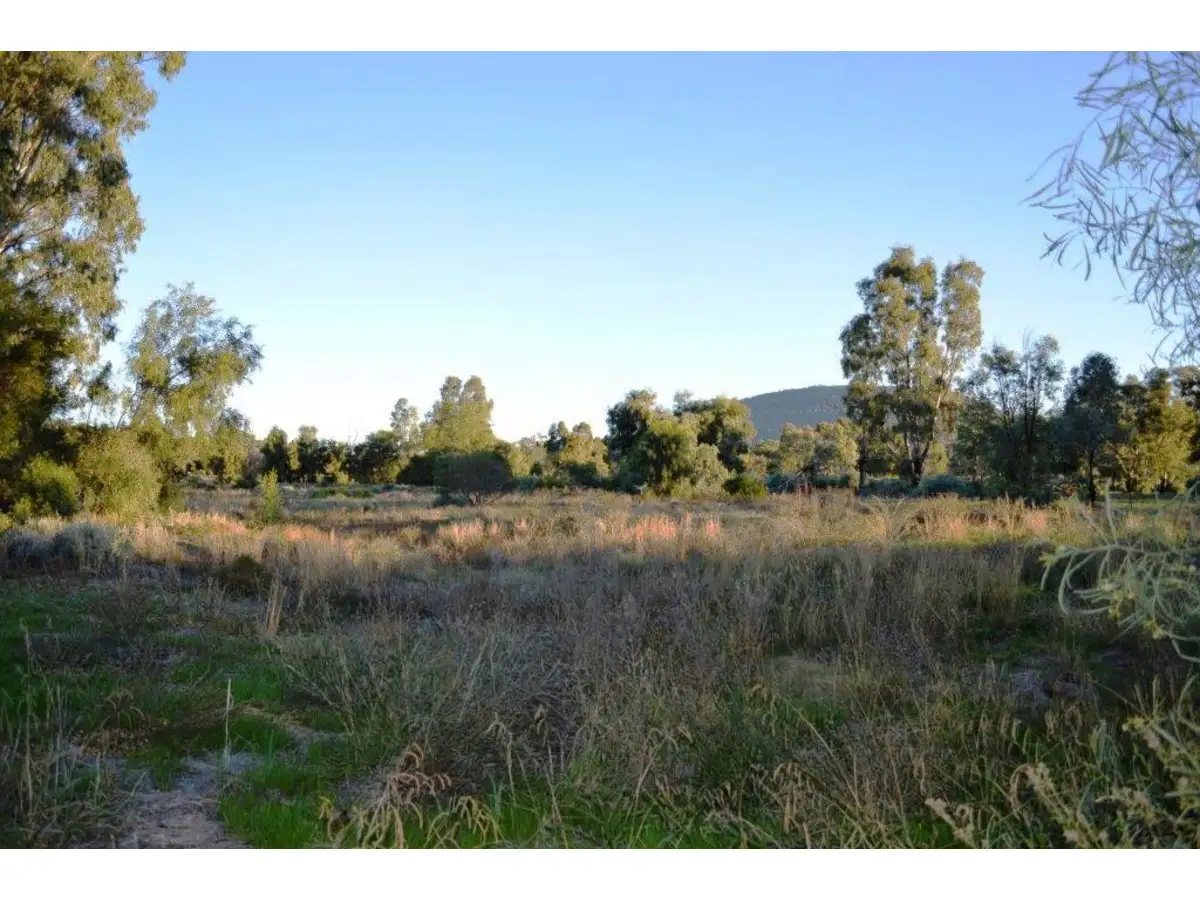 Main view of Homely land listing, 53 Reading Road, Gunnedah NSW 2380