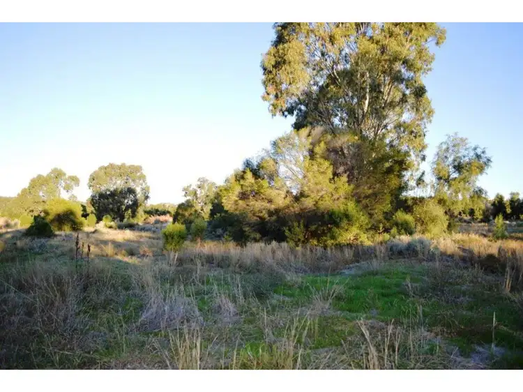 Third view of Homely land listing, 53 Reading Road, Gunnedah NSW 2380