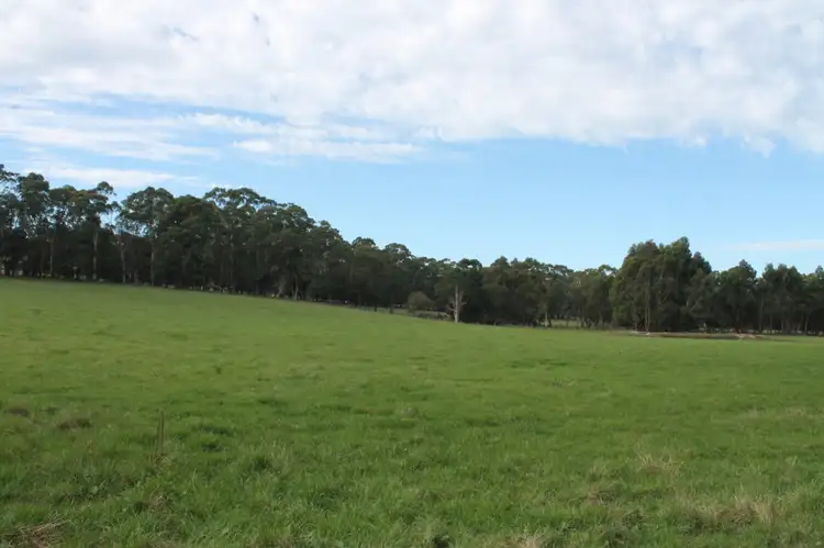 Sixth view of Homely rural property listing, 245 Wilsons Road, Barongarook VIC 3249