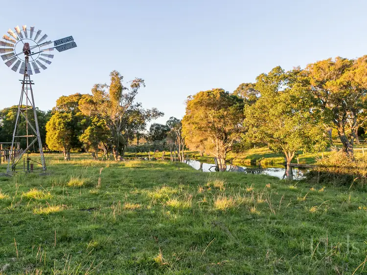 Second view of Homely rural property listing, 289 Heaton Road, Quorrobolong NSW 2325