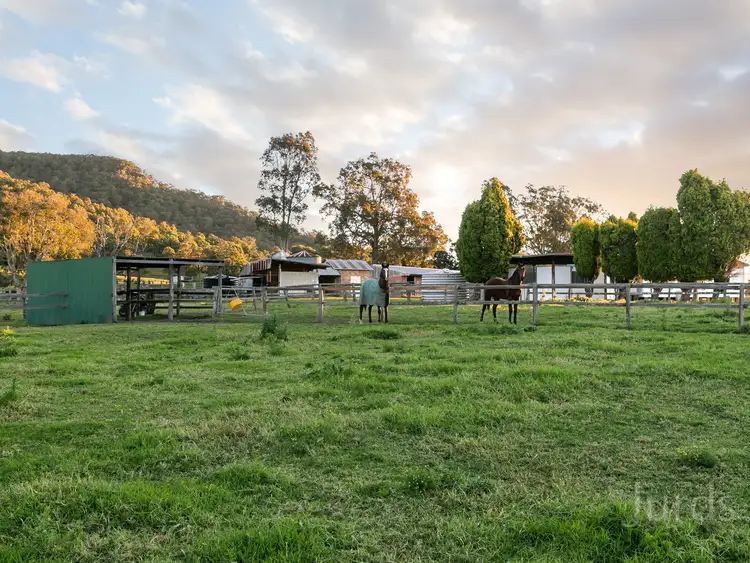 Fourth view of Homely rural property listing, 289 Heaton Road, Quorrobolong NSW 2325