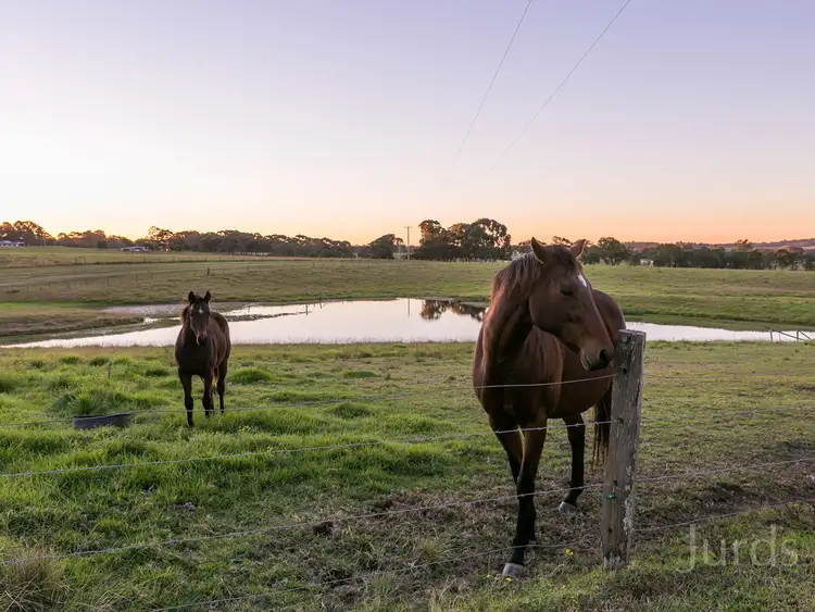 Fifth view of Homely rural property listing, 289 Heaton Road, Quorrobolong NSW 2325