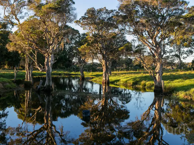 Seventh view of Homely rural property listing, 289 Heaton Road, Quorrobolong NSW 2325
