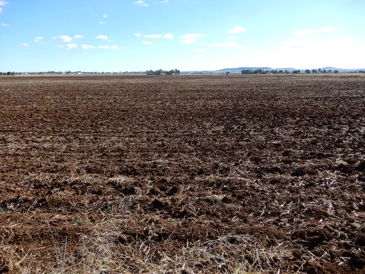 Seventh view of Homely rural property listing, Willow Springs Road, Clifton QLD 4361