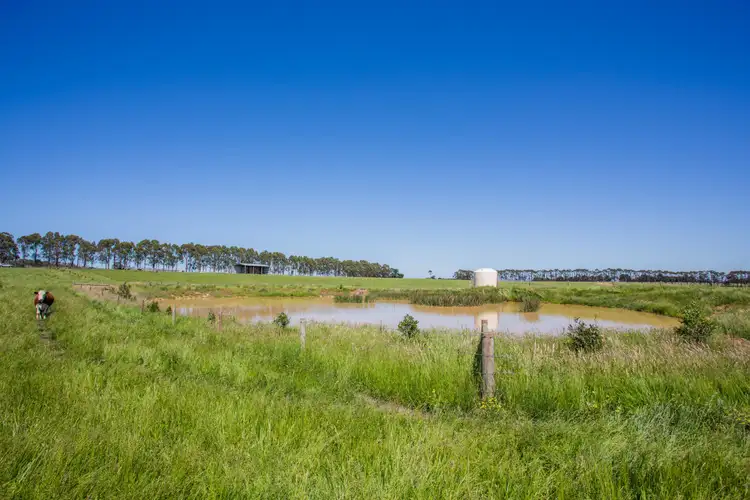 Seventh view of Homely rural property listing, Hazelwood Road, Traralgon VIC 3844