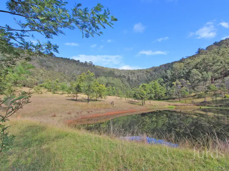 Fourth view of Homely rural property listing, 1994 Paynes Crossing Road, Paynes Crossing NSW 2325