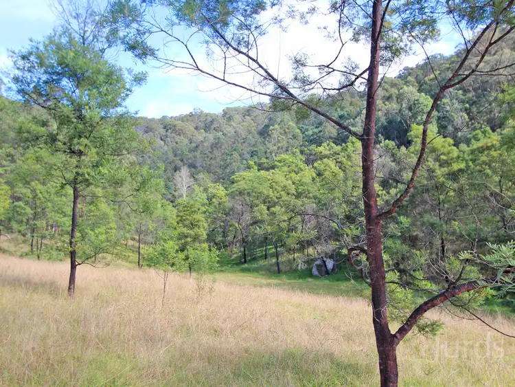 Sixth view of Homely rural property listing, 1994 Paynes Crossing Road, Paynes Crossing NSW 2325