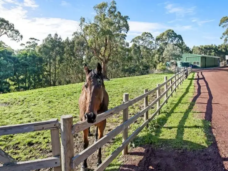 Fifth view of Homely house listing, 470 Timboon - Curdievale Road, Timboon VIC 3268