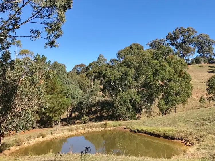 Main view of Homely land listing, 163 Kiernans Road, Bonnie Doon VIC 3720