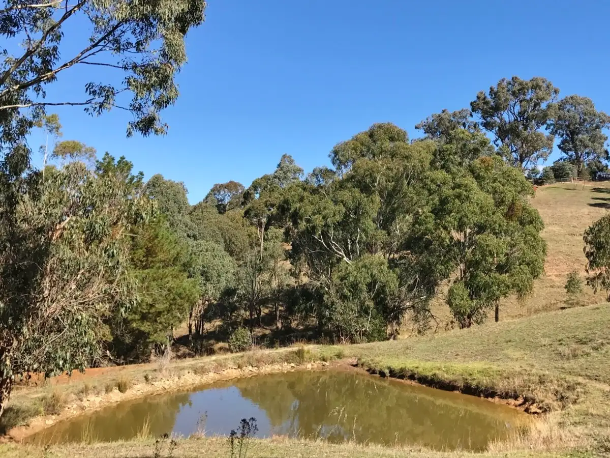 Main view of Homely land listing, 163 Kiernans Road, Bonnie Doon VIC 3720