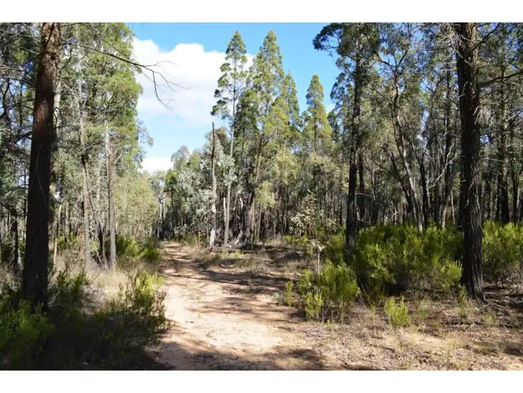 353 Albert Wright Road, Rocky Glen NSW 2357