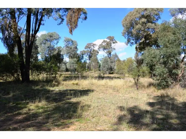Third view of Homely rural property listing, 353 Albert Wright Road, Rocky Glen NSW 2357