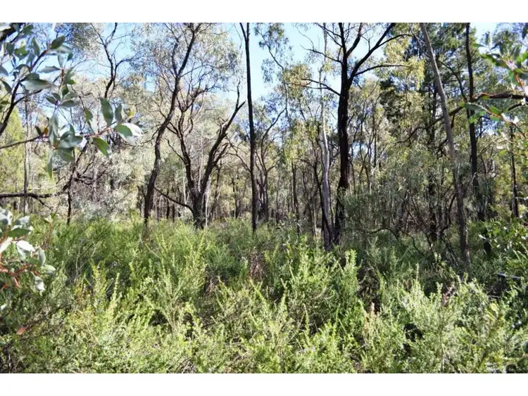 Seventh view of Homely rural property listing, 353 Albert Wright Road, Rocky Glen NSW 2357