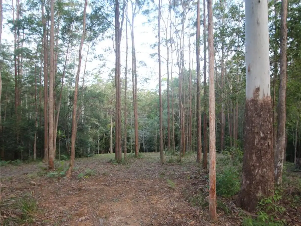 Main view of Homely land listing, 42A Greenacre Road, Doonan QLD 4562