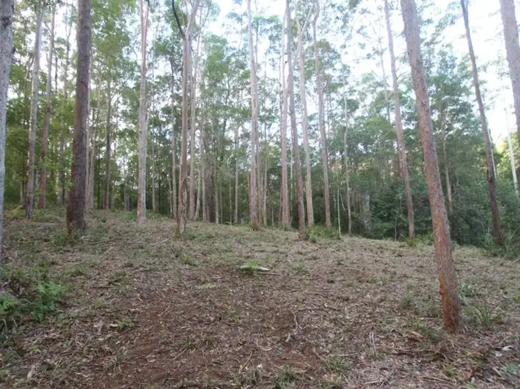 Third view of Homely land listing, 42A Greenacre Road, Doonan QLD 4562