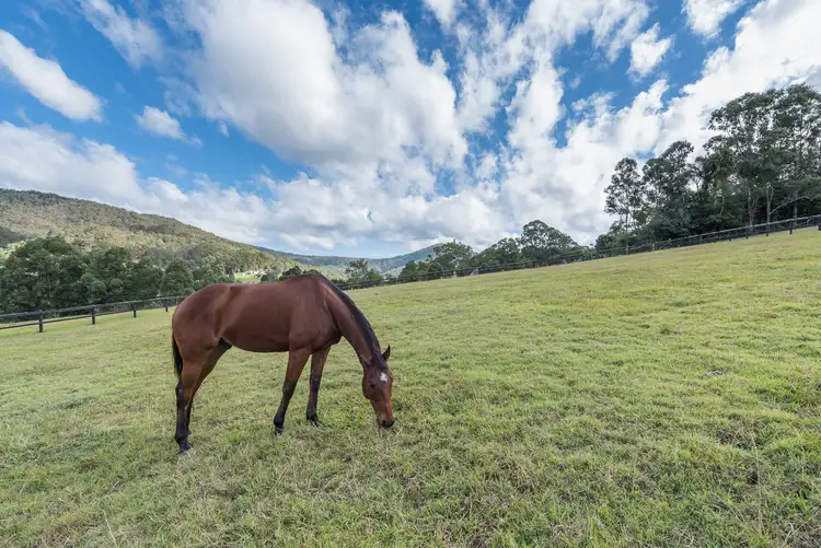 Second view of Homely house listing, 10 Tilpawai Close, Cedar Creek QLD 4520