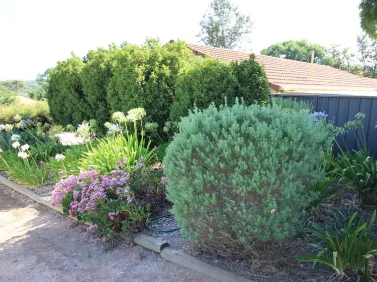 Third view of Homely house listing, 1/29 Beare Street, Clare SA 5453