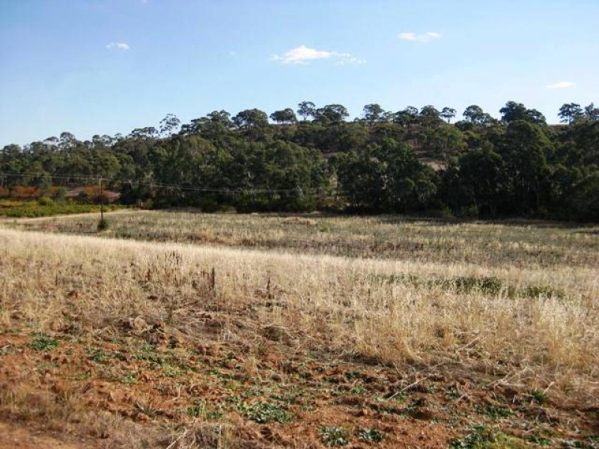 Lot 46 Main North Road, Clare SA 5453