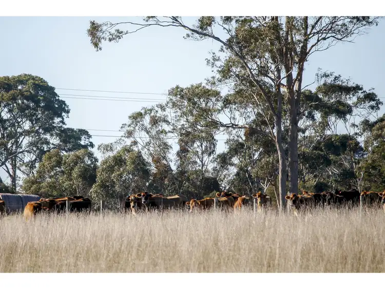 Fifth view of Homely land listing, 446B Seaspray Road, Longford VIC 3851