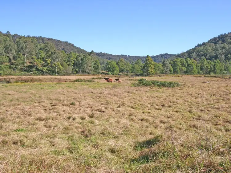 Second view of Homely rural property listing, 983 Murrays Run Road, Laguna NSW 2325