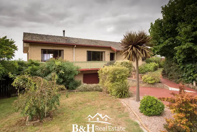 Third view of Homely rural property listing, 663 Ridgley Highway, Ridgley TAS 7321