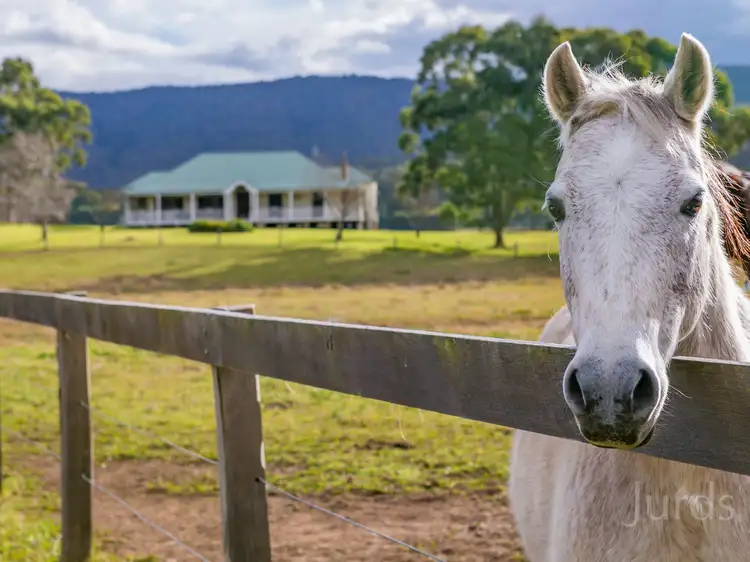 Main view of Homely rural property listing, 492 Congewai Road, Congewai NSW 2325