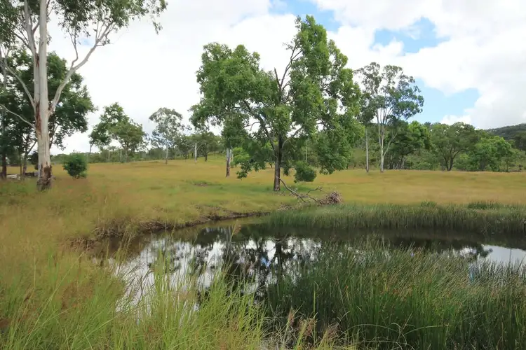 Sixth view of Homely rural property listing, 78 Mundine Road, Upper Fine Flower NSW 2460