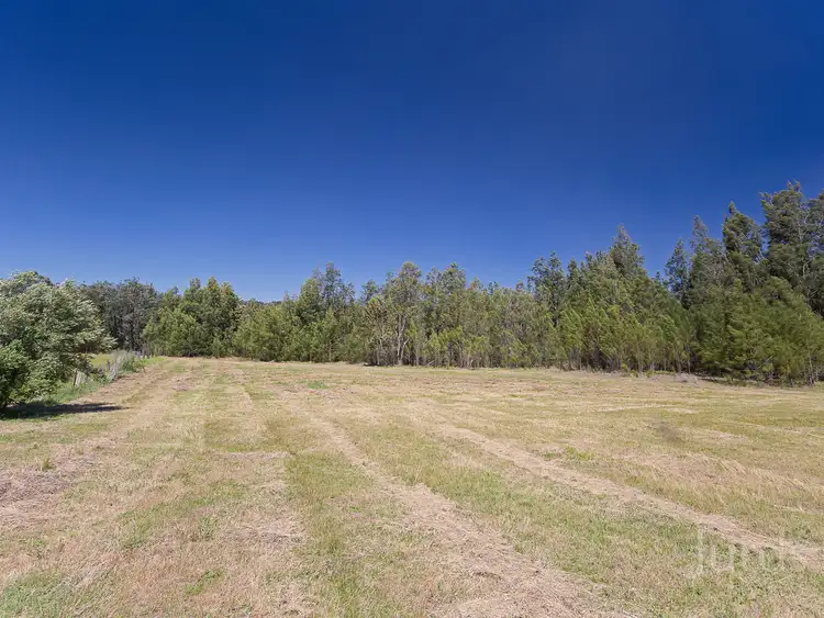Fifth view of Homely rural property listing, 2 Lindsay Street, Belford NSW 2335