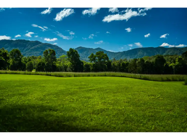 Second view of Homely rural property listing, 935 Promised Land Road, Bellingen NSW 2454
