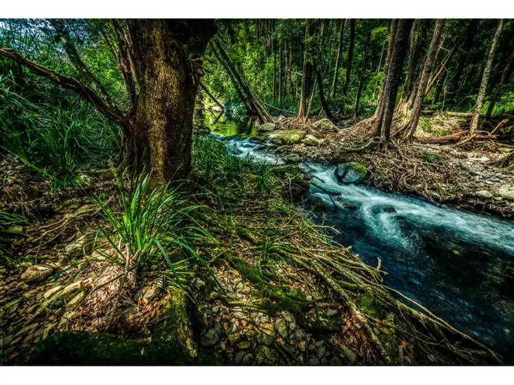 Fourth view of Homely rural property listing, 935 Promised Land Road, Bellingen NSW 2454