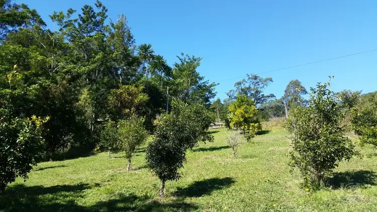 Third view of Homely rural property listing, 132 Nightcap Road, Doon Doon NSW 2484