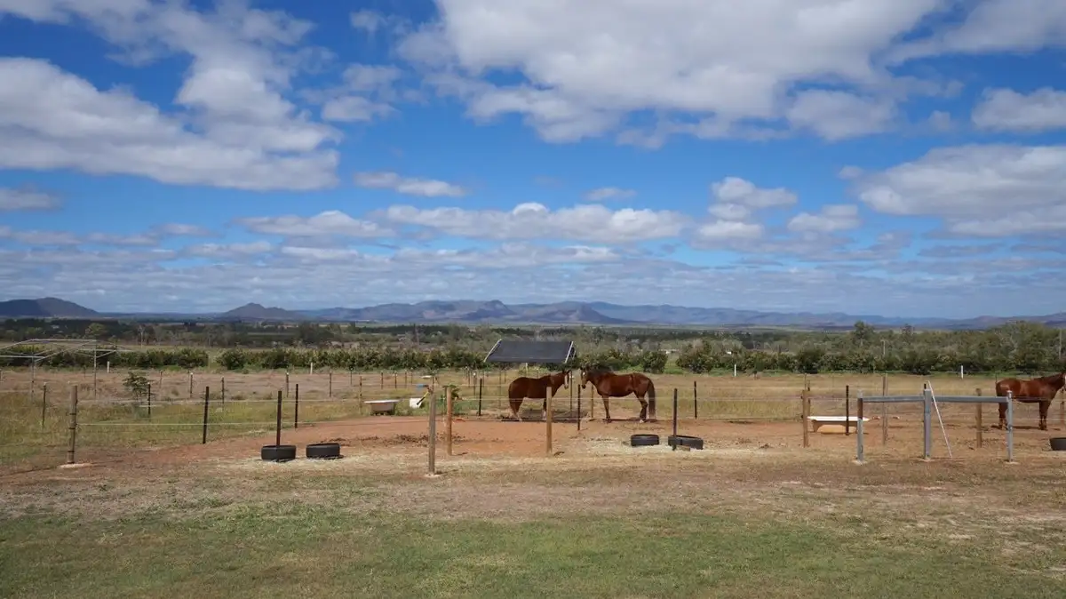 Main view of Homely house listing, 142 Bower Road, Mareeba QLD 4880