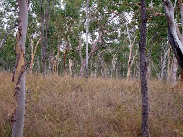 Second view of Homely land listing, Address available on request