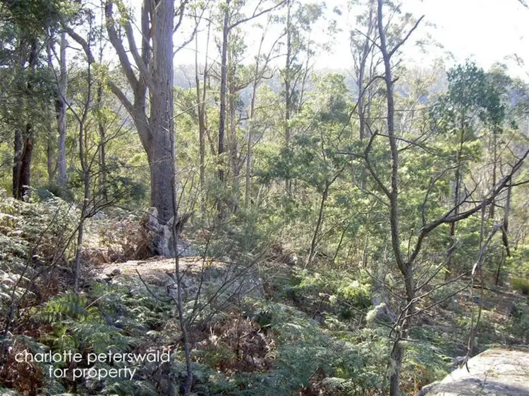 Main view of Homely land listing, Ra Youngs Road, Rhyndaston TAS 7120