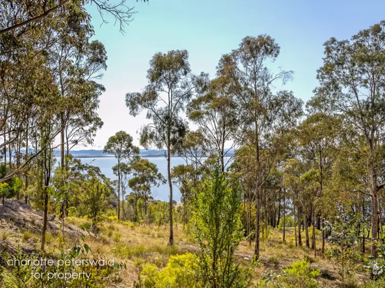 Third view of Homely land listing, 305 Tinderbox Road, Tinderbox TAS 7054