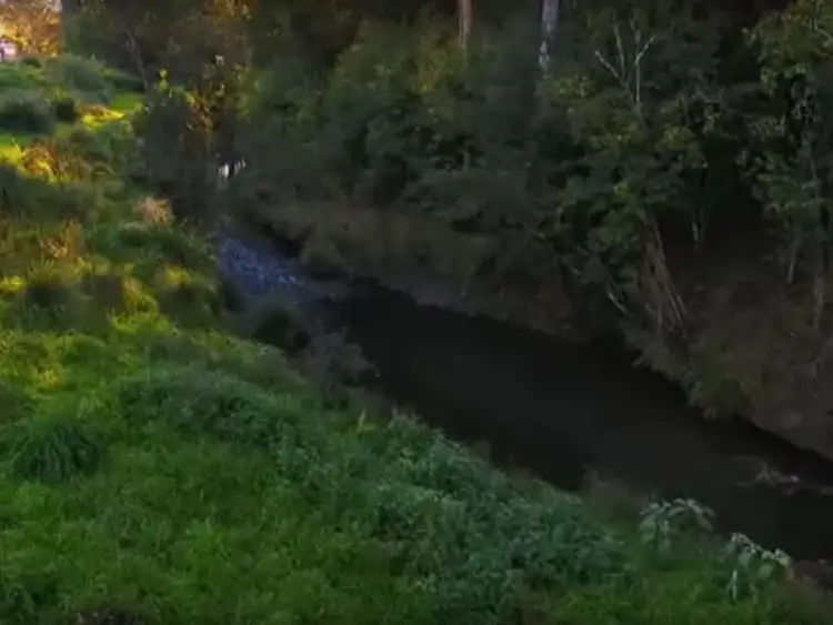 Fifth view of Homely house listing, 25 Mountain View Road, Killarney QLD 4373