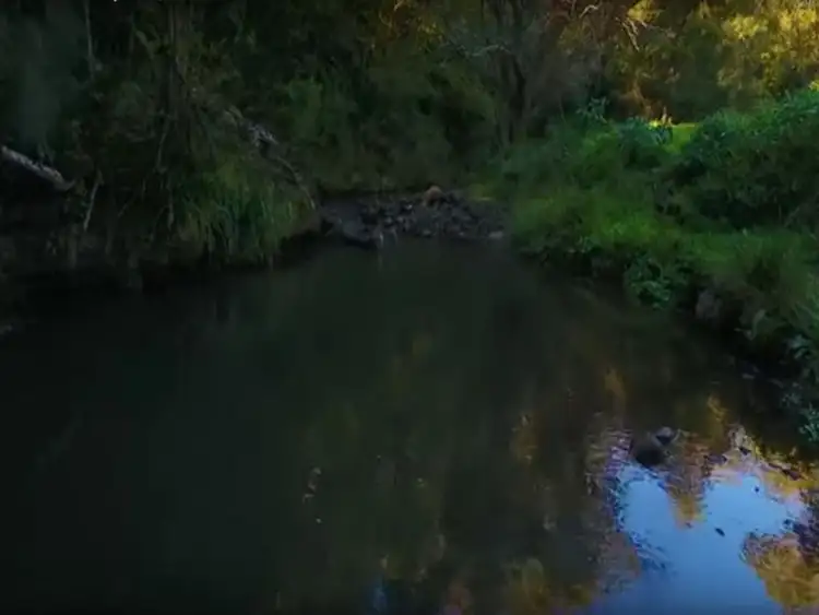 Sixth view of Homely house listing, 25 Mountain View Road, Killarney QLD 4373