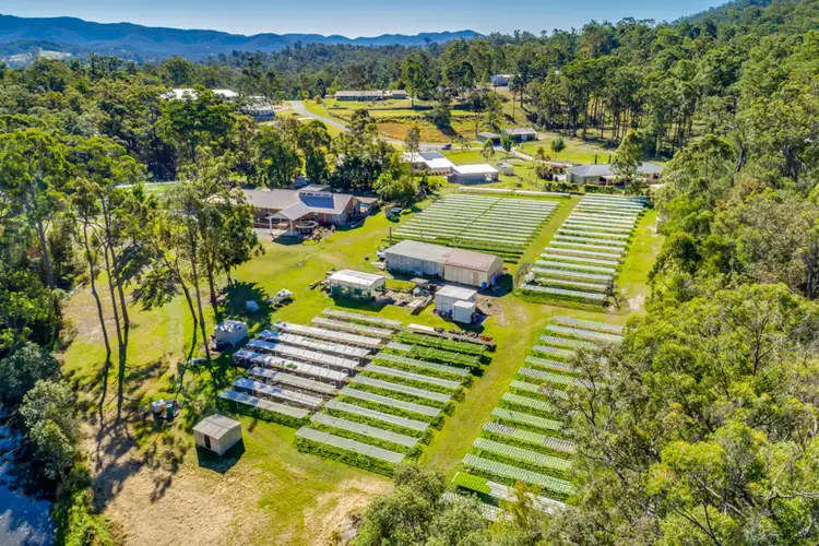 Fourth view of Homely house listing, 480 Beaudesert-Nerang Road, Maudsland QLD 4210